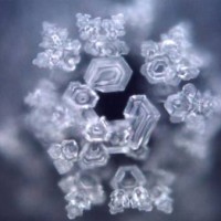 Water-Memory-Homeopathy-Origin-i18