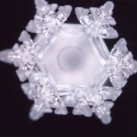 Water-Memory-Homeopathy-Origin-i21
