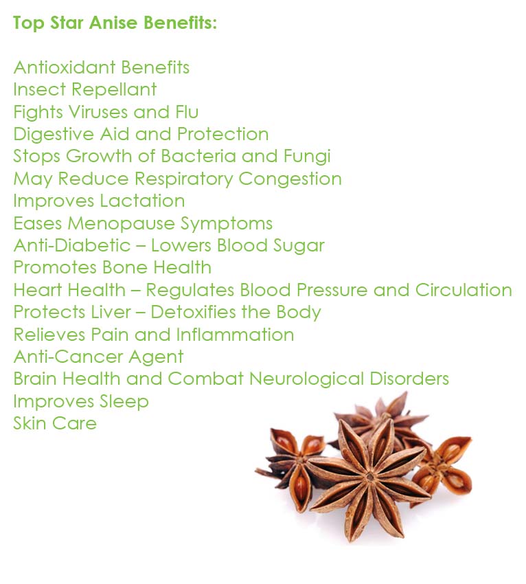 STAR ANISE Tincture Natural Extract Suramin Shikimic Acid1