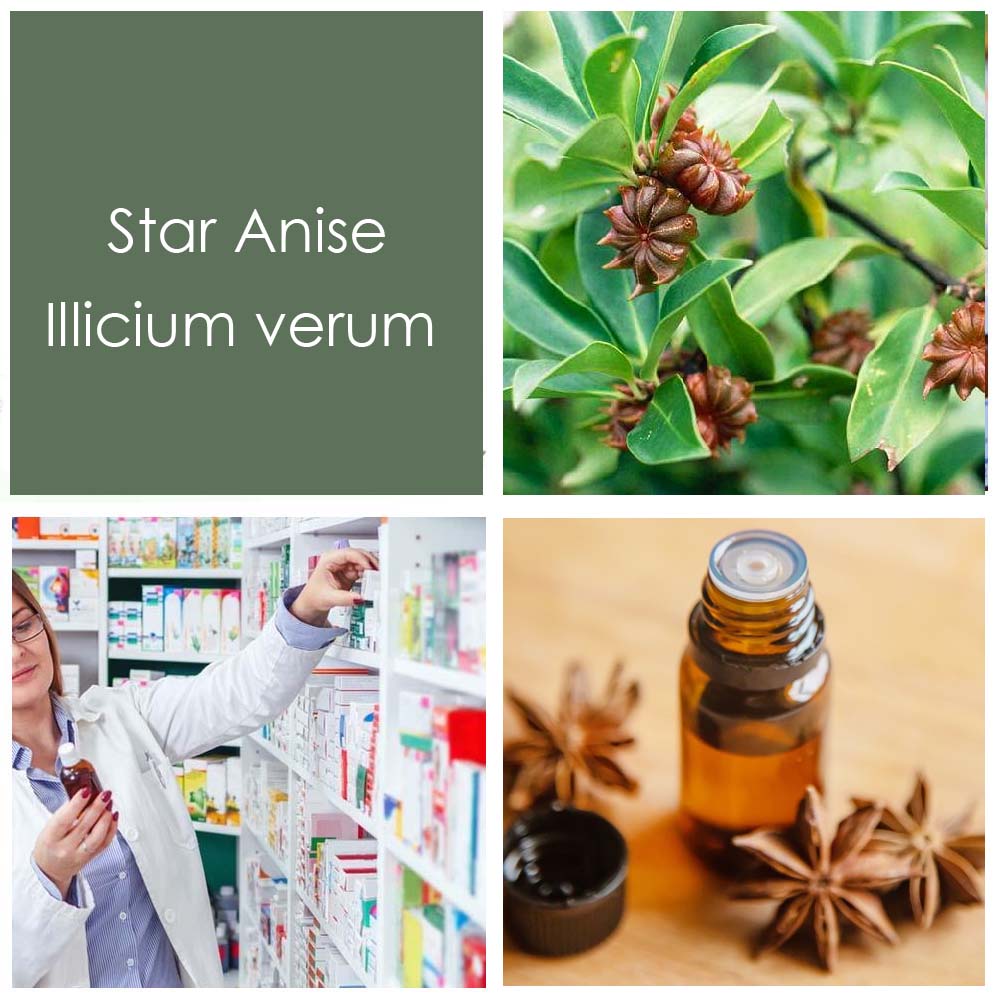 STAR ANISE Tincture Natural Extract Suramin Shikimic Acid3