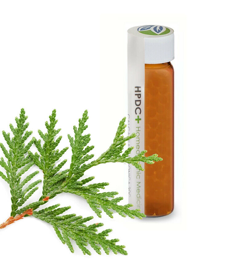 thuuja 30c organic