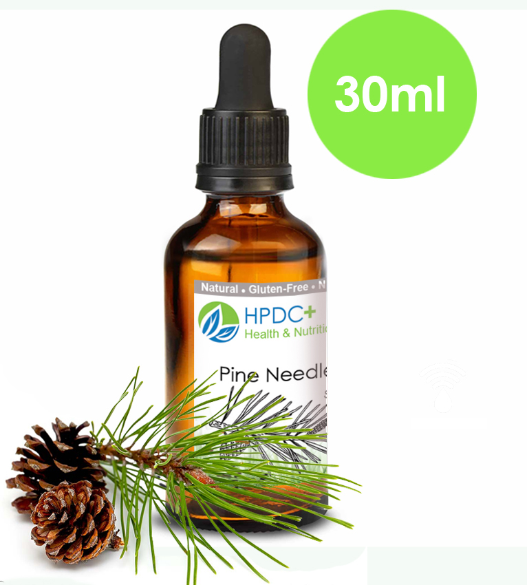 Pine-Needles-30g-Tincture-Natural-Extract-Suramin Shikimic-Acid-Pinus-Sylvestris-tea-dry-fresh-HERBAL-vitamin-c-ultrasonic-pipette-new-1
