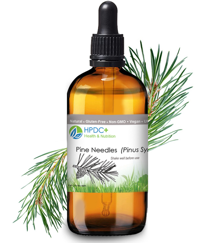 Pine-Needles-50ml-Tincture-Natural-Extract-Suramin Shikimic-Acid-Pinus-Sylvestris-tea-dry-fresh-HERBAL-vitamin-c-ultrasonic-pipette-amazon