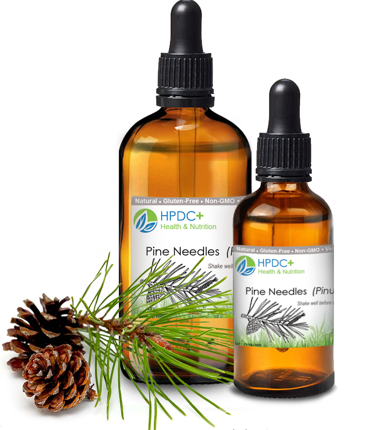 Pine-Needles-Tincture-Natural-Extract-Suramin Shikimic-Acid-Pinus-Sylvestris-tea-dry-fresh-organic-new